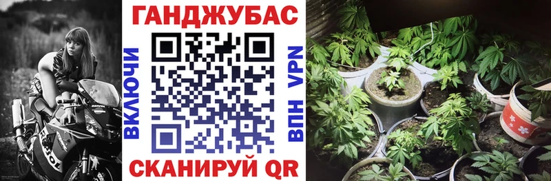 Конопля AK-47  где купить наркоту  Южа 